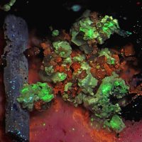 Gaidonnayite, Petersenite-(Ce), Microcline