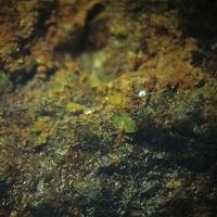 Agricolaite