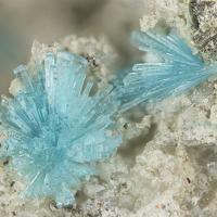 Caledonite