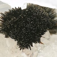 Rankachite