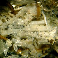 Kalsilite, Calcite, Fluorophlogopite