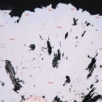 Safflorite, Rammelsbergite, Bismuth