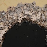Mackinawite, Pyrrhotite, Chalcopyrite