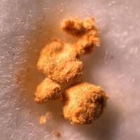Balipholite