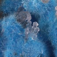 Carbonatecyanotrichite, Quartz