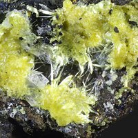 Rabbittite, Gypsum, Uraninite