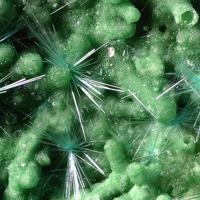 Agardite-(Y), Bayldonite