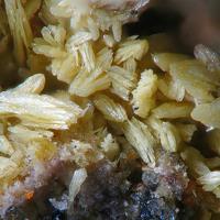Bassanite