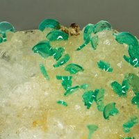 Sabelliite