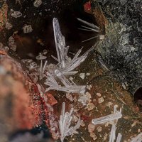 Lanarkite, Palmierite