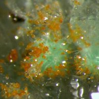 Eckhardite, Markcooperite