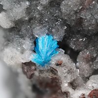 Cavansite, Stilbite-Ca, Calcite