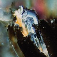 Laitakarite