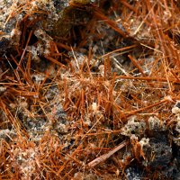 Kaersutite
