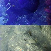 Carletonite, Pectolite
