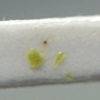 Uramarsite