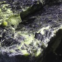 Barbosalite