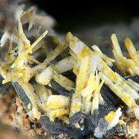 Bazhenovite