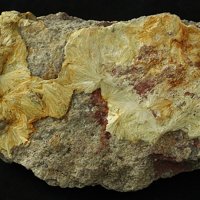Carpholite