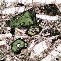 Aegirine-augite, Nosean, Sanidine