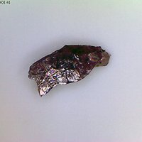 Rastsvetaevite