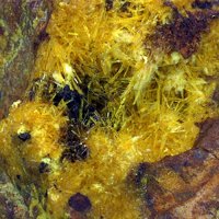 Uranophane, Studtite