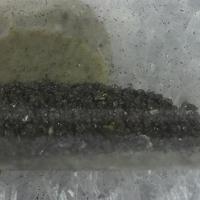 Cadmoselite