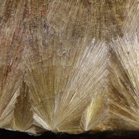 Carpholite