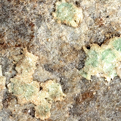 Abernathyite