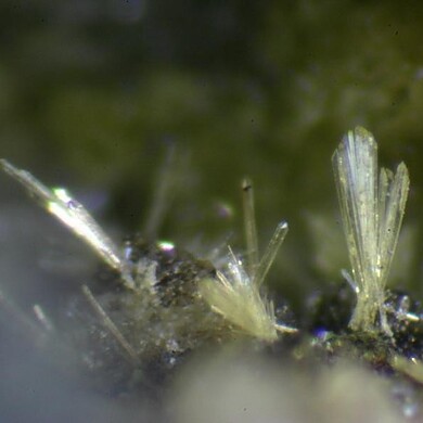 Adranosite-(Fe)