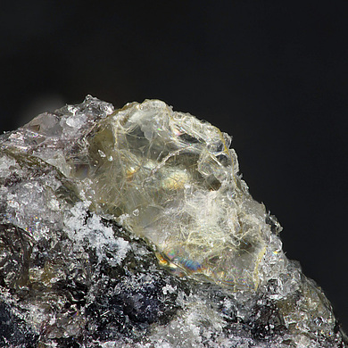 Balestraite