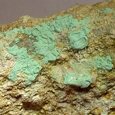 Bandylite