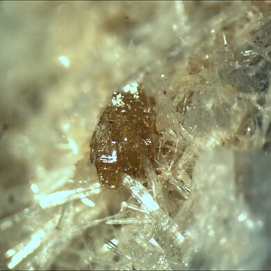 Bario-orthojoaquinite