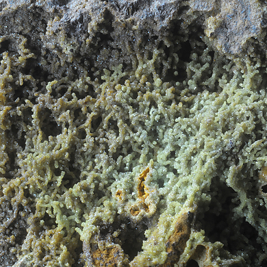 Bariopharmacosiderite