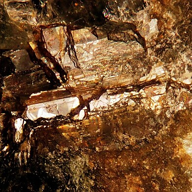 Barytolamprophyllite