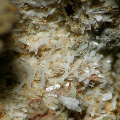 Bassanite
