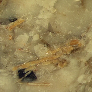 Batievaite-(Y)