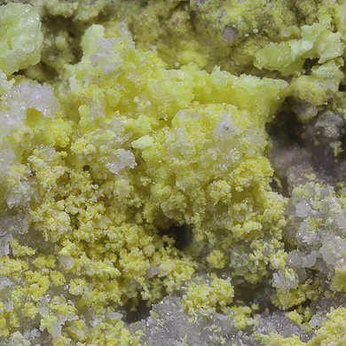 Bayleyite