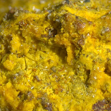 Cadwaladerite