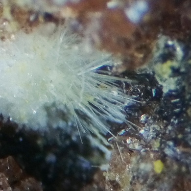Calamaite