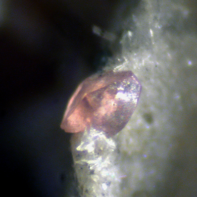 Calcioancylite-(Nd)