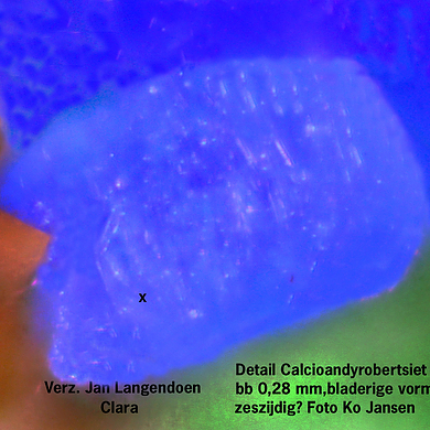 Calcioandyrobertsite