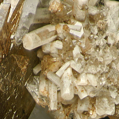 Calcioburbankite