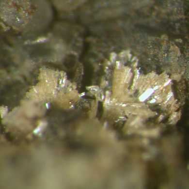 Calciodelrioite