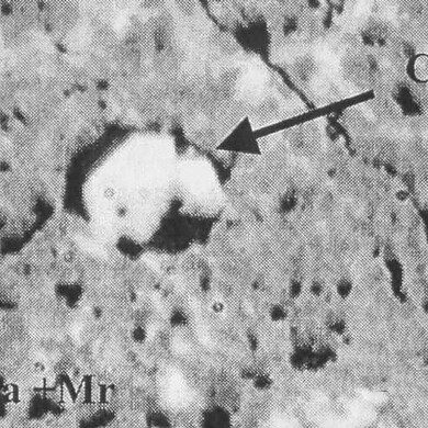Calciotantite