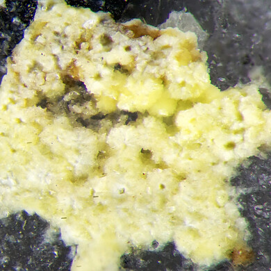 Calcioursilite