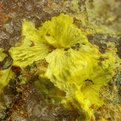 Calcurmolite