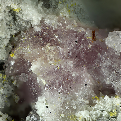 Camaronesite