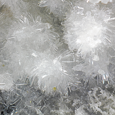 Campostriniite