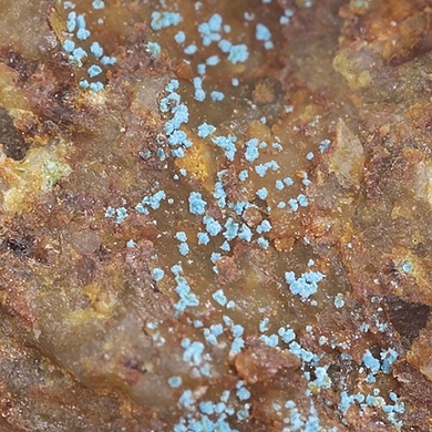Camérolaite